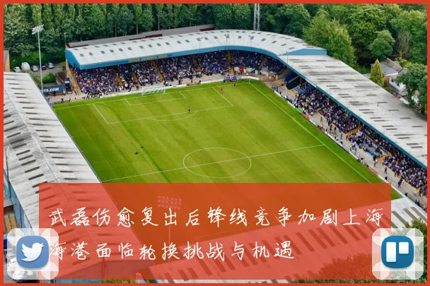 武磊伤愈复出后锋线竞争加剧上海海港面临轮换挑战与机遇