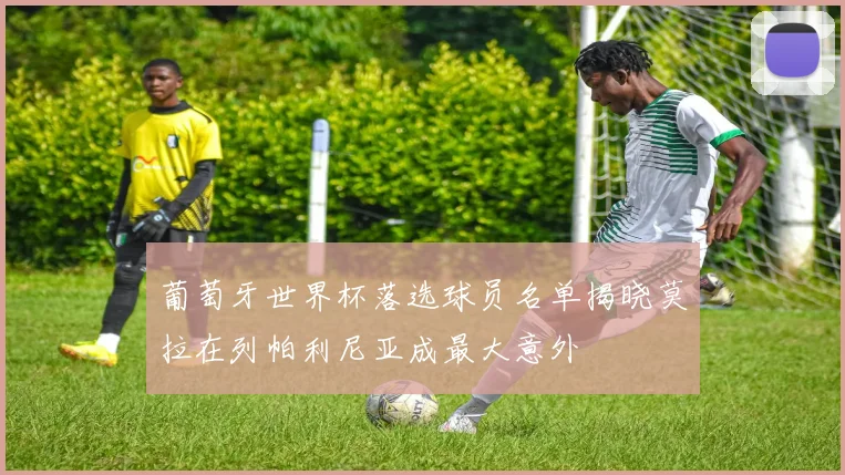 葡萄牙世界杯落选球员名单揭晓莫拉在列帕利尼亚成最大意外